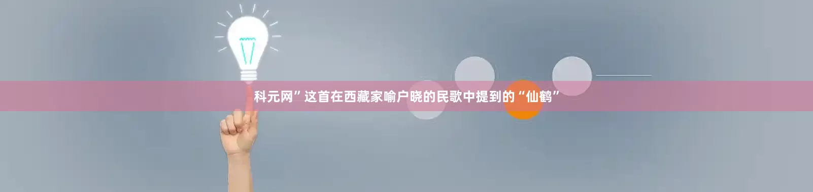 科元网”这首在西藏家喻户晓的民歌中提到的“仙鹤”