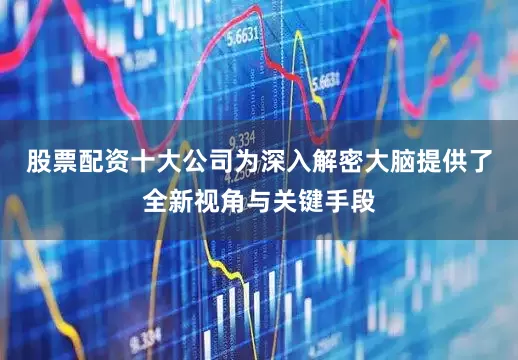 股票配资十大公司为深入解密大脑提供了全新视角与关键手段