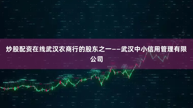 炒股配资在线武汉农商行的股东之一——武汉中小信用管理有限公司