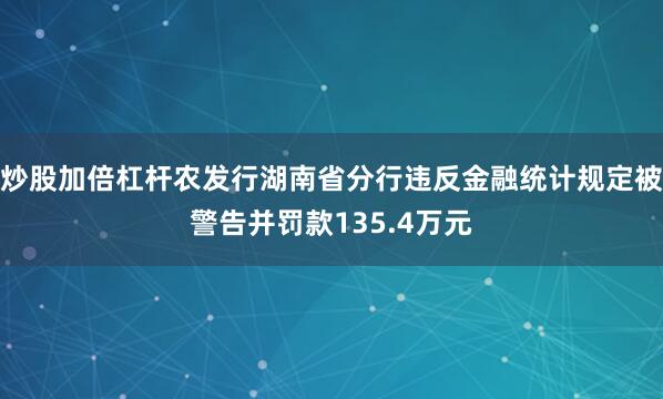 炒股加倍杠杆农发行湖南省分行违反金融统计规定被警告并罚款135.4万元