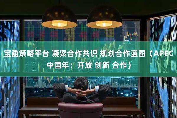 宝盈策略平台 凝聚合作共识 规划合作蓝图（APEC中国年：开放 创新 合作）